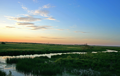 Biebrza National Park